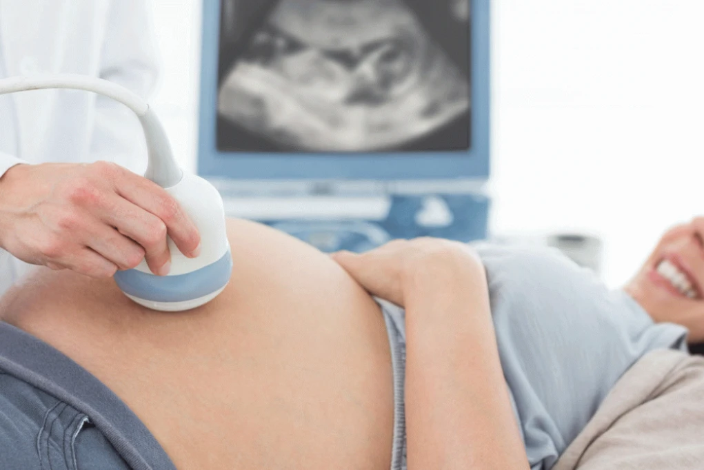 Imagen sobre "Ecografía Obstétrica"