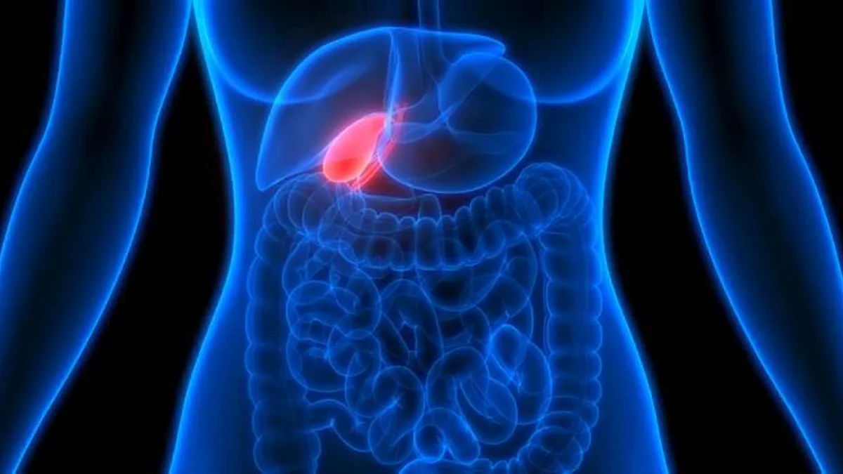 Imagen sobre "Enfermedades del Hígado y Vías Biliares"