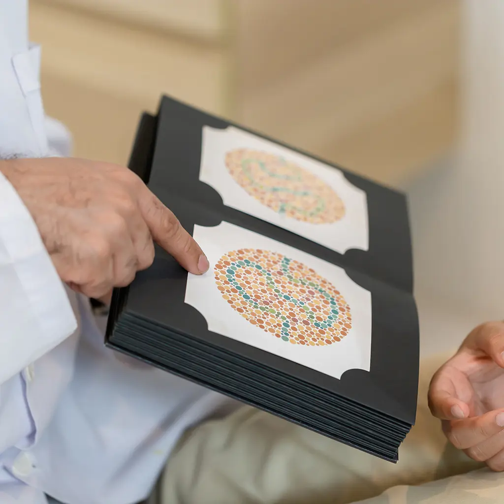 Imagen sobre "Prueba de Visión de Colores"